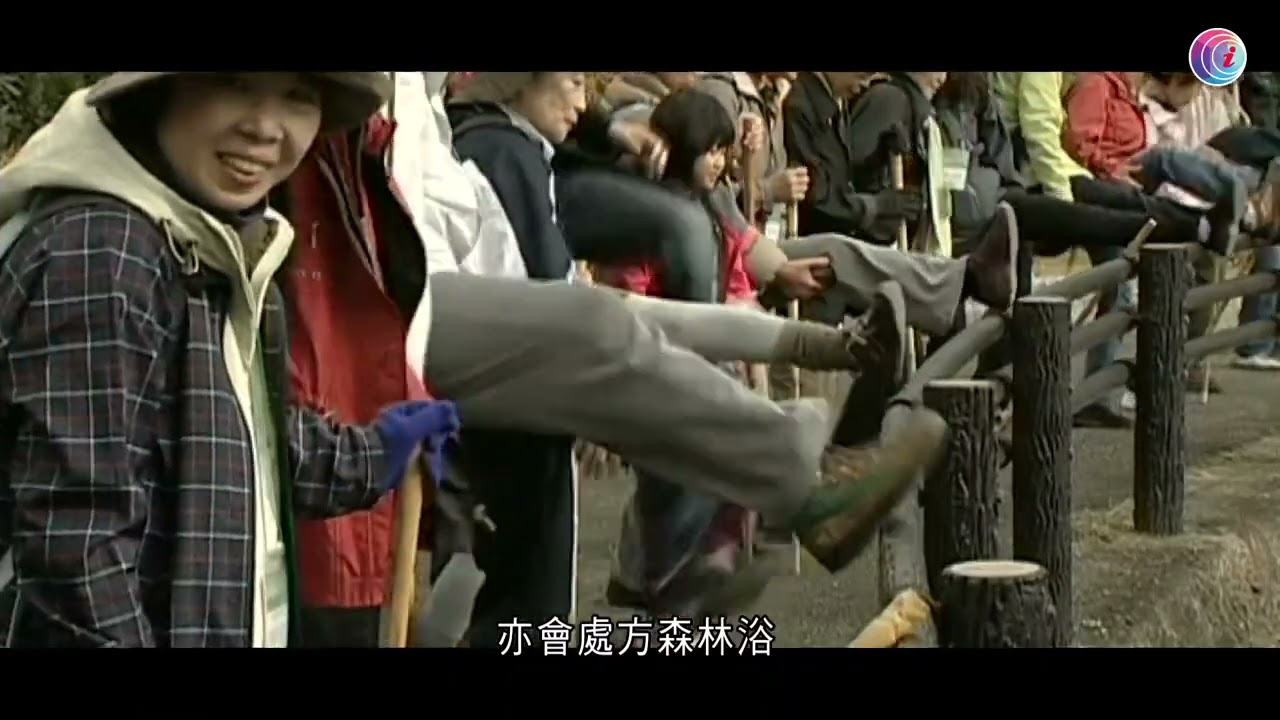 【小事大意義】港島西鬧市後花園 緣何變身「森林浴」場？　森林治療嚮導 陪你深山走一回：沿途執到寶？－有線新聞