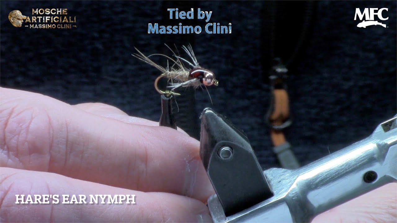 Costruzione Hare's Ear Nymph | Il Classico Potenziato con Scud Back