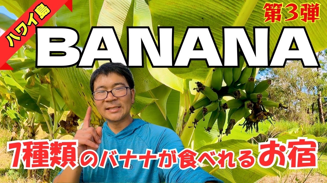 ハワイで美味しいバナナが食べ放題のお宿を作りたい！！　【第3弾】