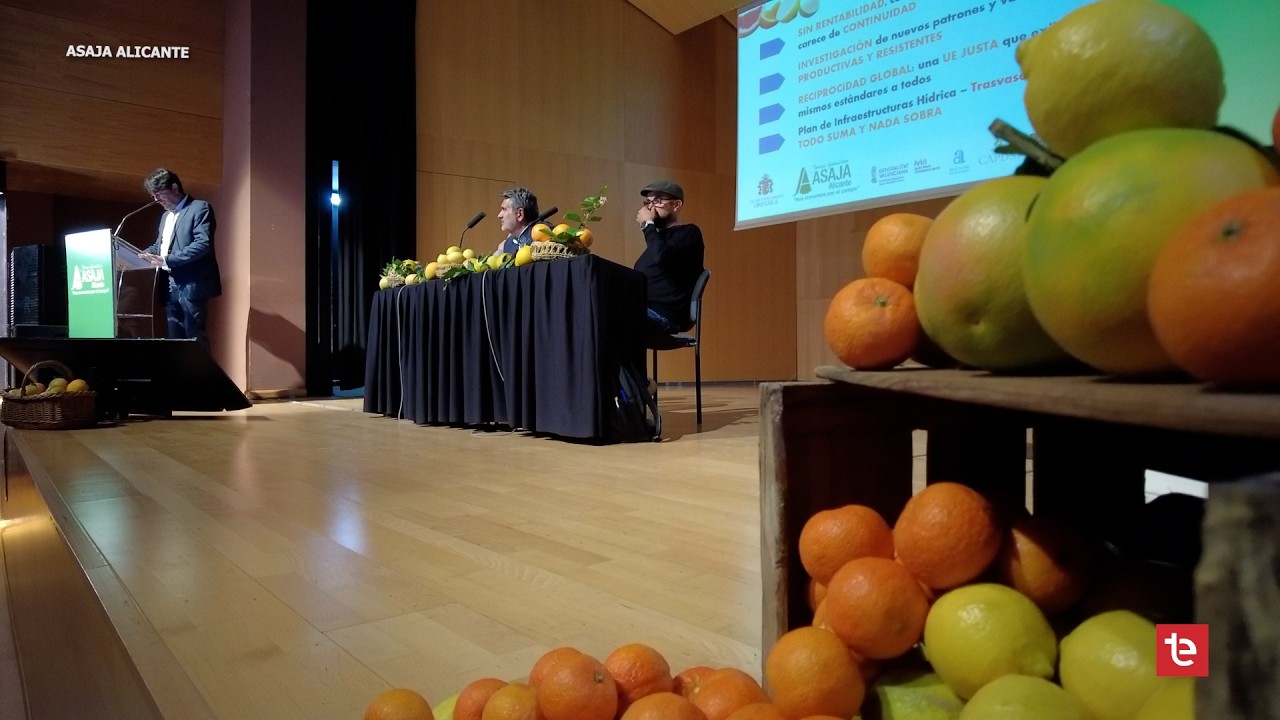 El CAMP D´ELX 842 | IV Jornada Cítricos ASAJA Alicante - 4/03/2026