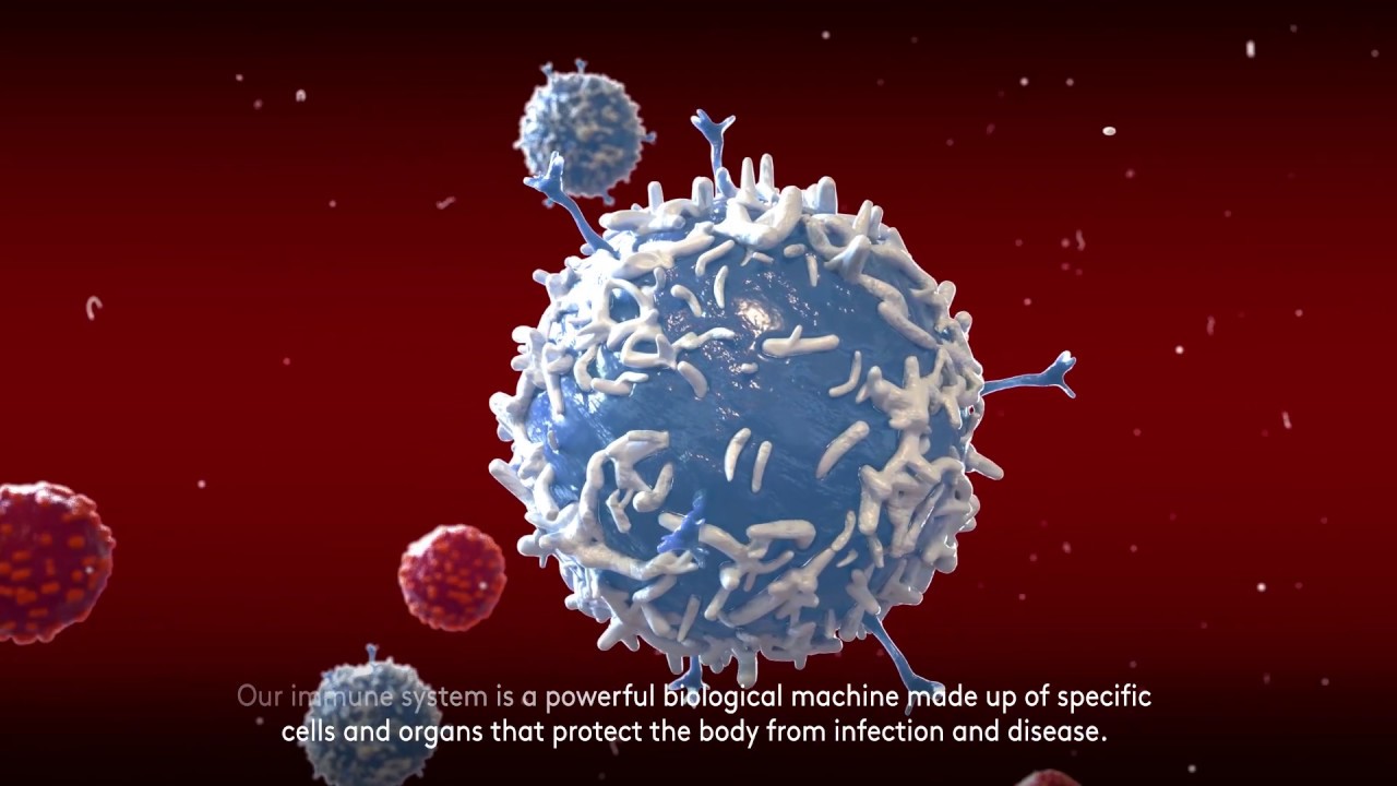 CAR T-cell therapy – Redefining blood cancer treatment