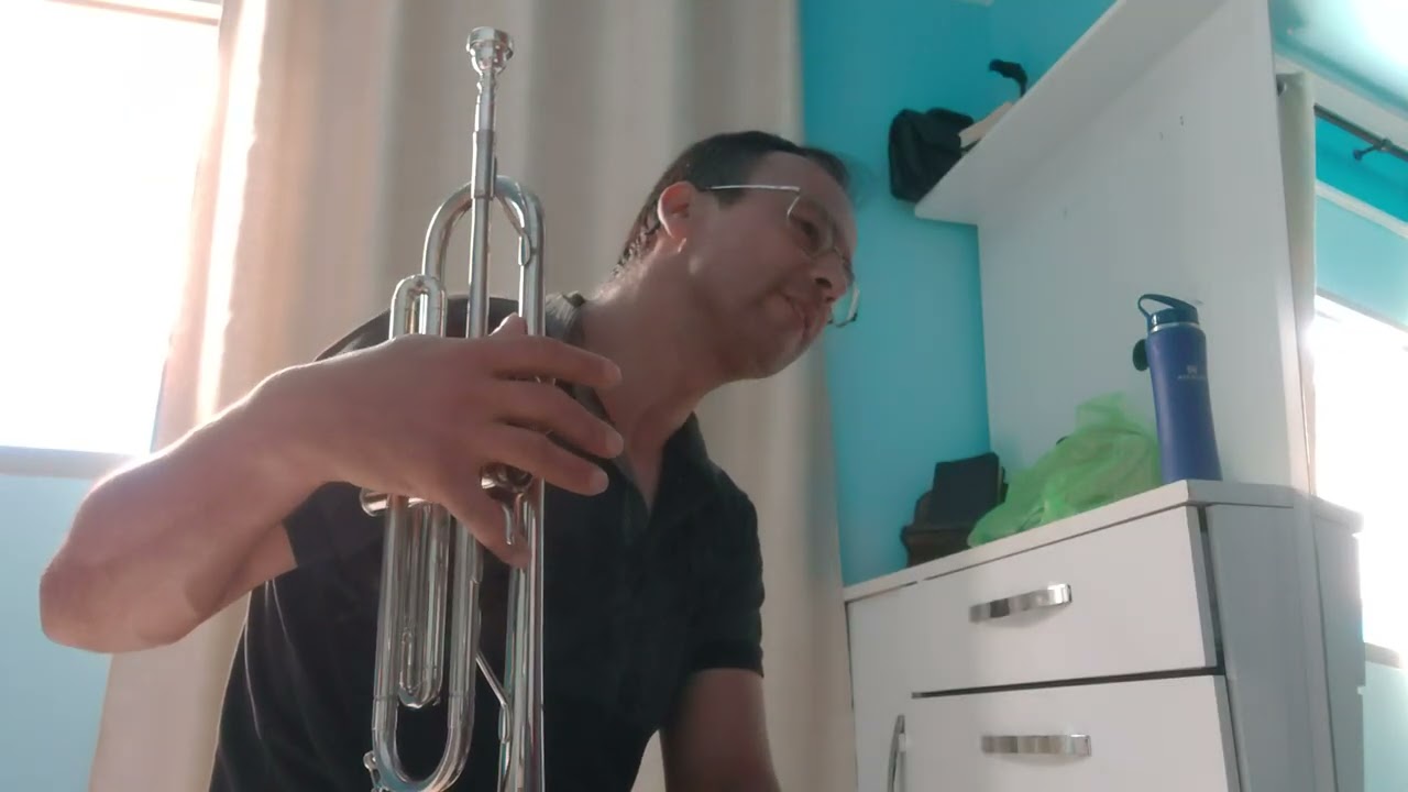 Hino 320 que prazer é andar com Cristo. Playback lindo do irmão Gilberto no Sax 🎷 Alto 