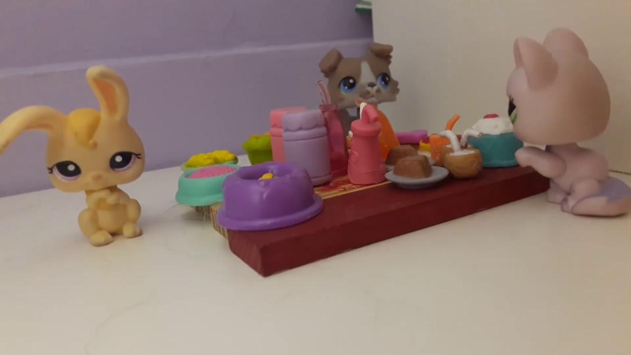 Vidéos Petshop favoritisme