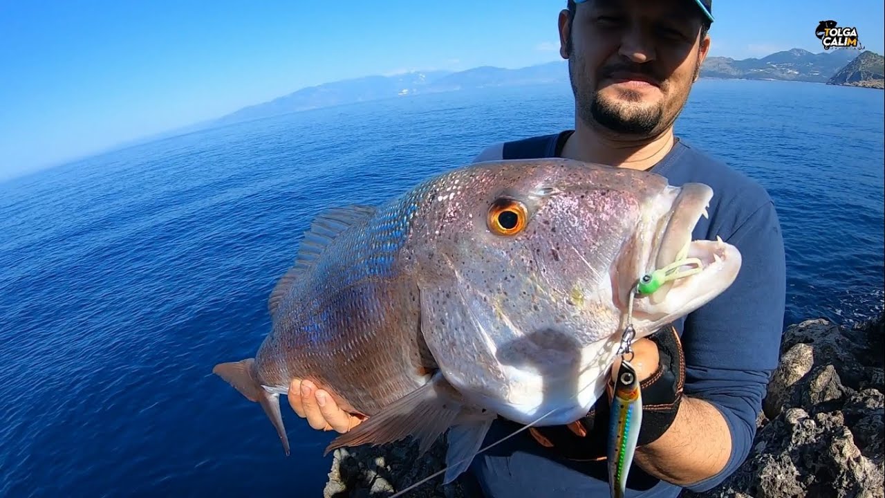 ANTALYA'NIN EN DEĞERLİ BALIĞINI YAKALADIM / 4 KG 68 CM GELEN SİNARİT / DENTEX DENTEX