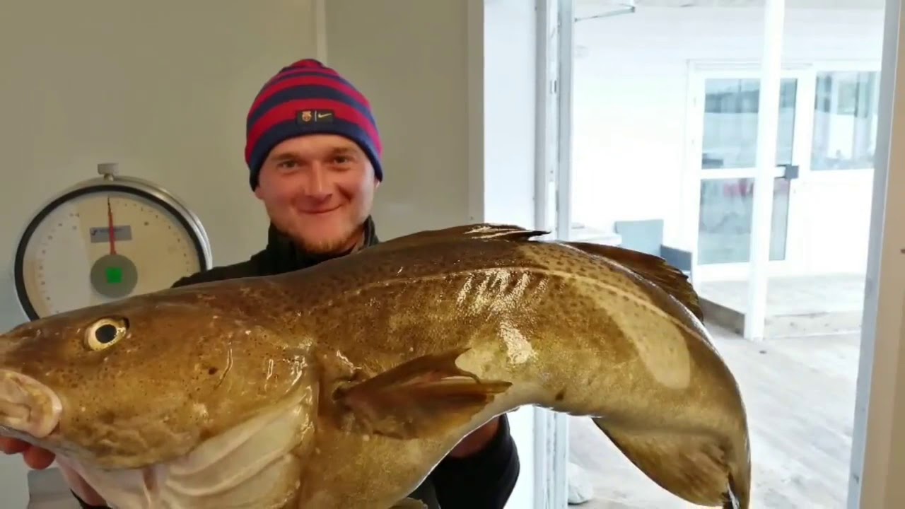 Norwegia Leka Brygge