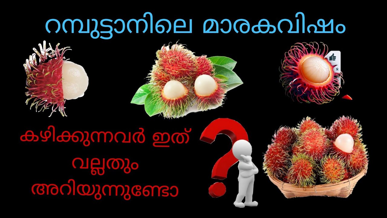 റംബൂട്ടാൻ കഴിക്കുന്നവരുടെ ശ്രദ്ധയ്ക്ക് #viralvideo #rambutan