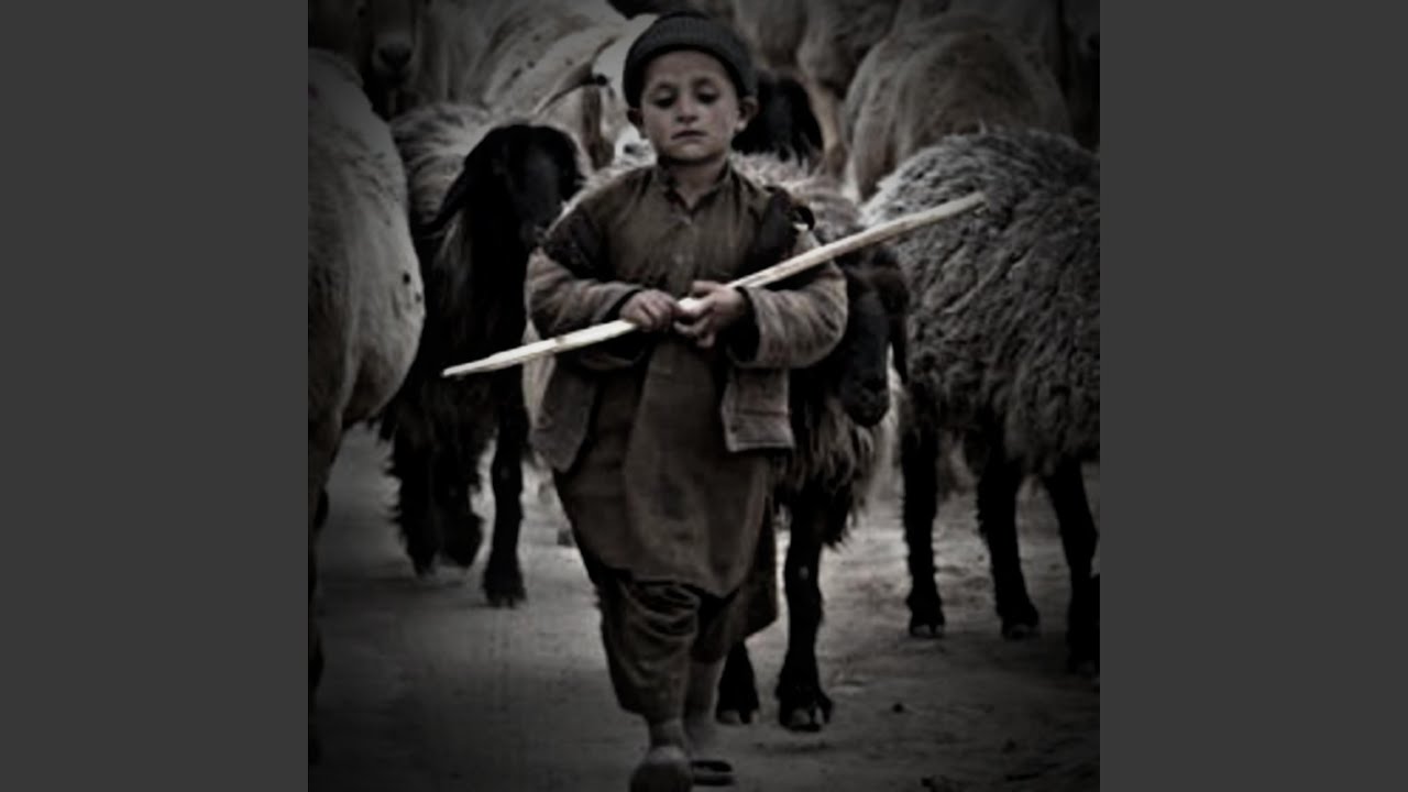 آهنگ محلی : این منم چوپان بچی نی نواز