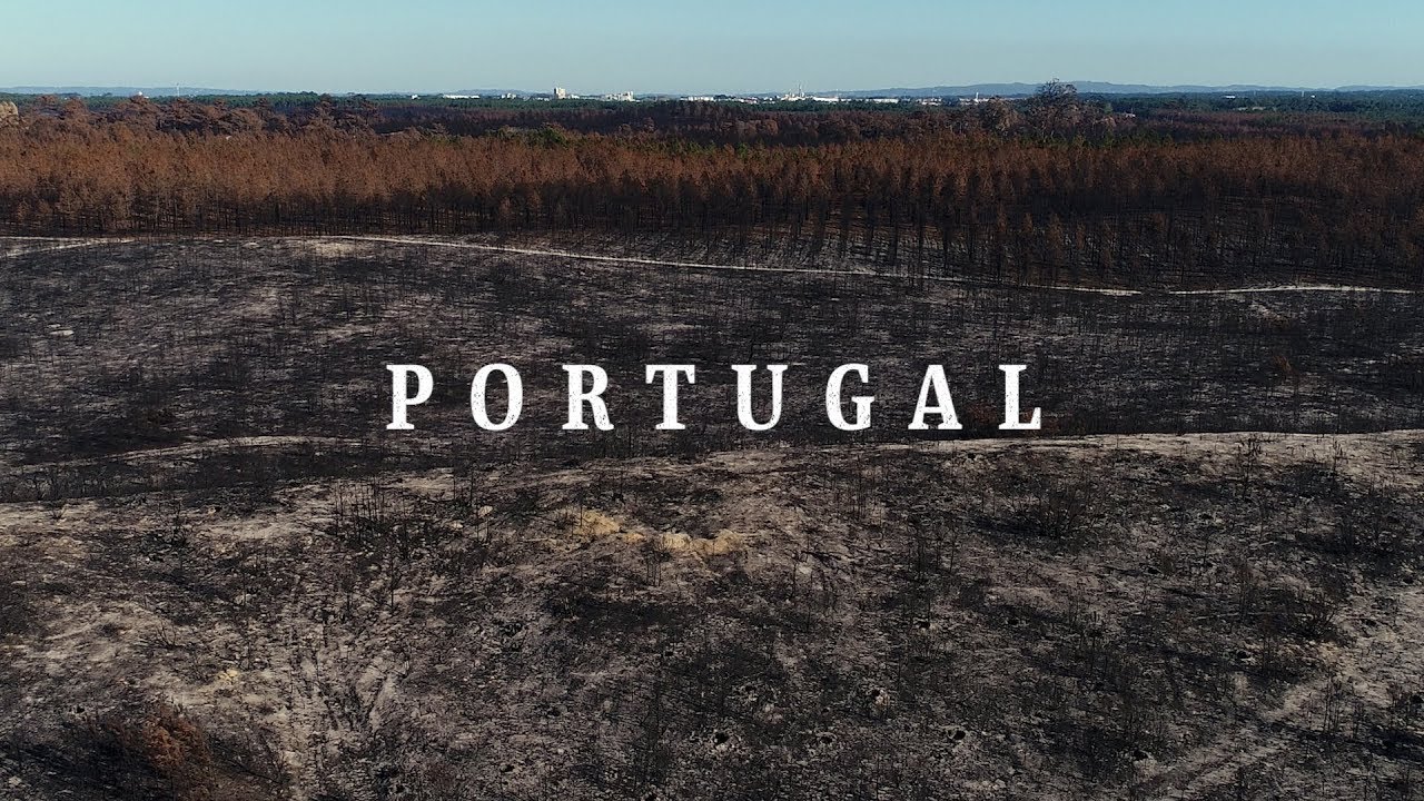 As terríveis tempestades de fogo de 2017 (e o que as mudanças climáticas tem a ver com elas)