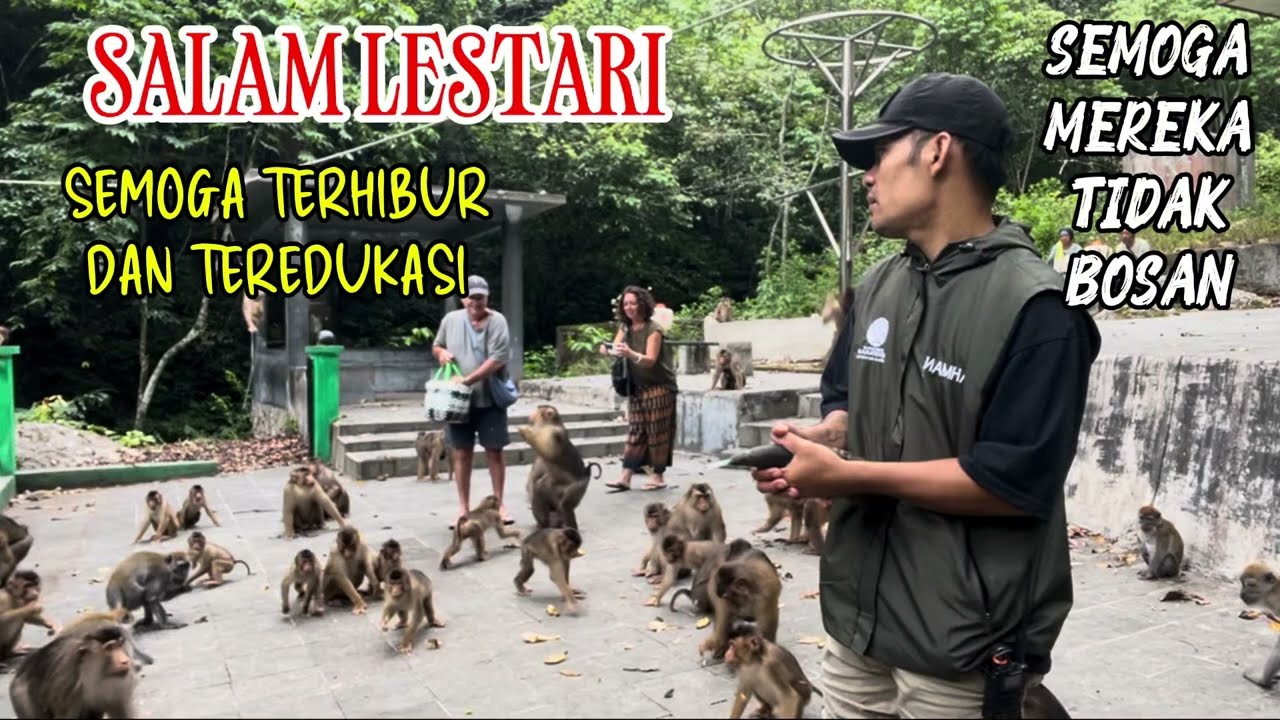 Semoga terhibur dan teredukasi...