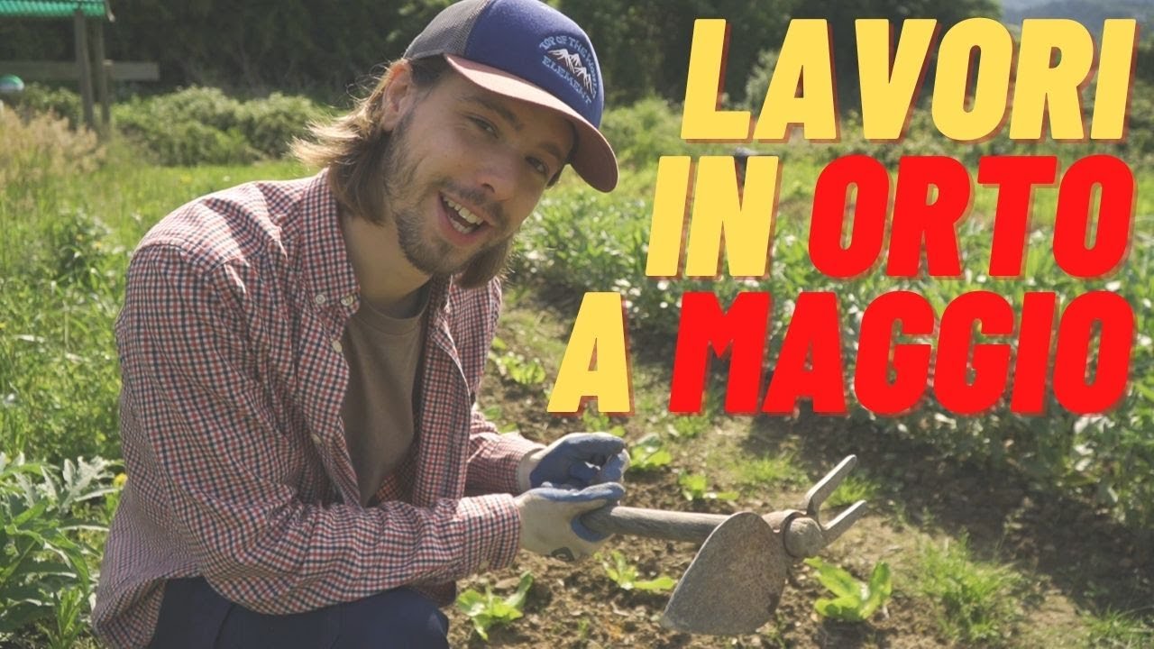 ORTO A MAGGIO | LAVORI NELL'ORTO + DISERBANTE 100% BIOLOGICO (A BASE DI MANI)