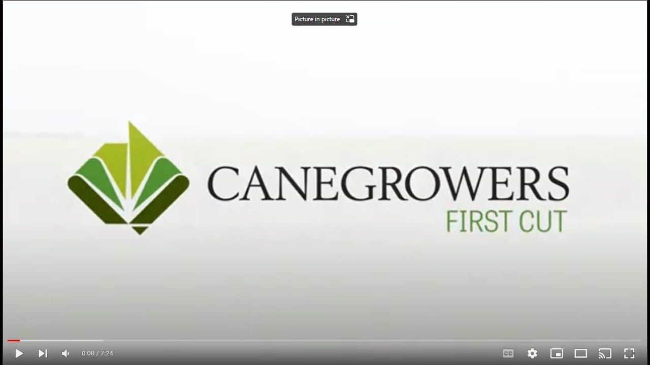 CANEGROWERS First Cut 04