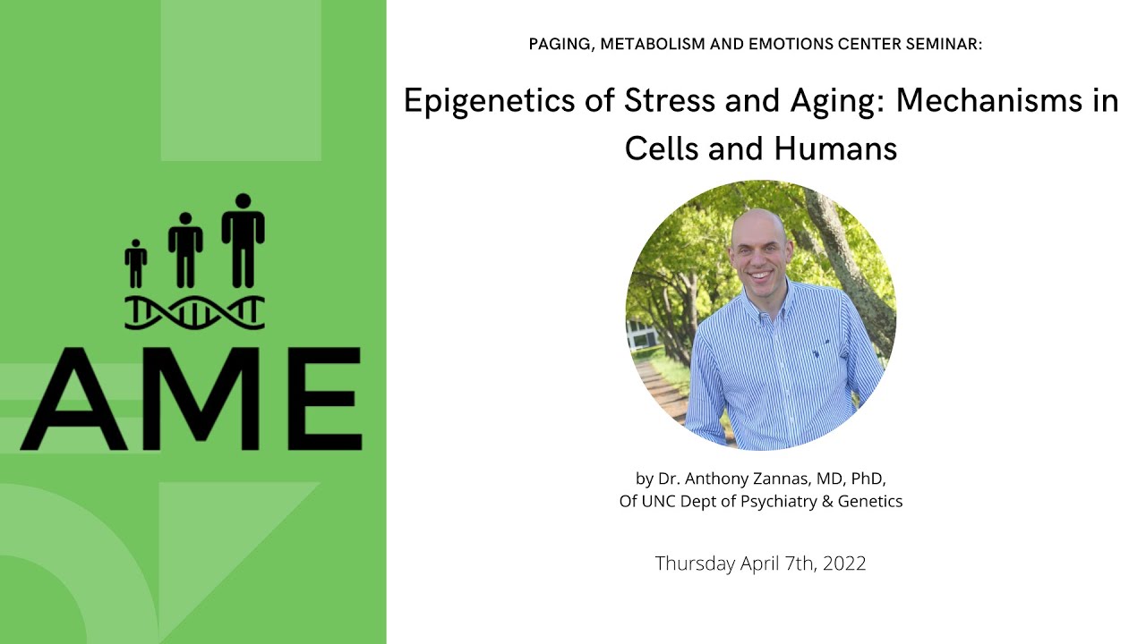 Epigenetics of Stress and Aging: Mechanisms in Cells and Humans