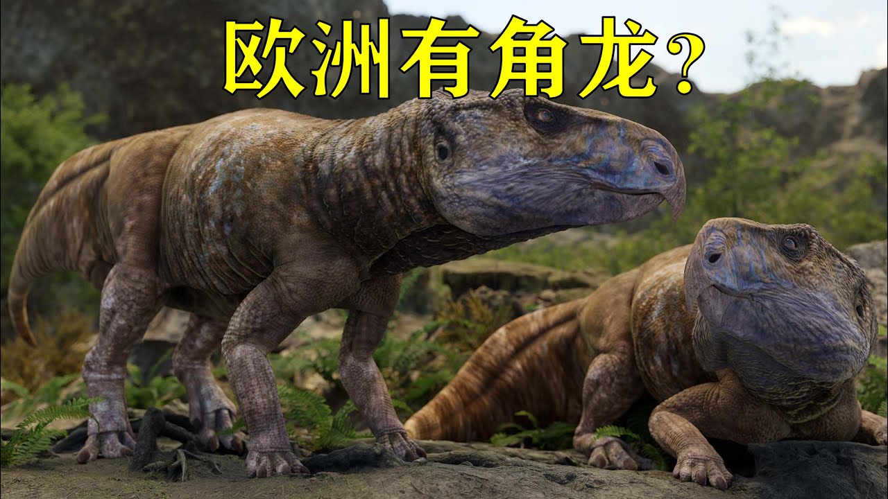 失落的欧洲角龙帝国？晚白垩世欧洲角龙类的隐秘多样性（Ferenceratops）
