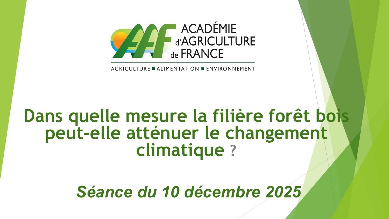 10/12/2025 : Dans quelle mesure la filière forêt bois peut-elle atténuer le changement climatique ?
