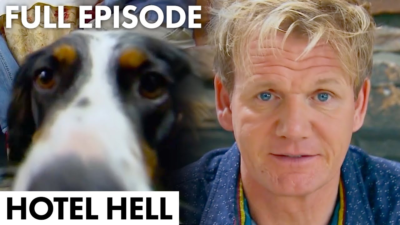 "Dog-Friendly" Hotel SHOCKS Gordon Ramsay | Hotel Hell