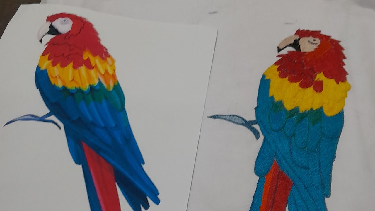 Red Macaw parrot 🦜 made by me kardai