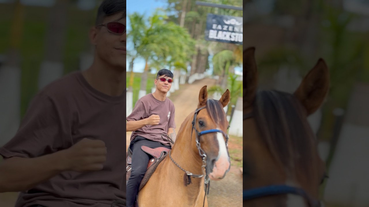 Gui Nobre cavalo NOVO