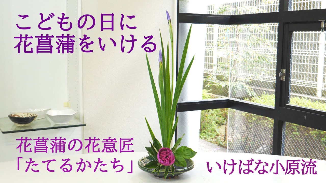 こどもの日に花菖蒲をいける