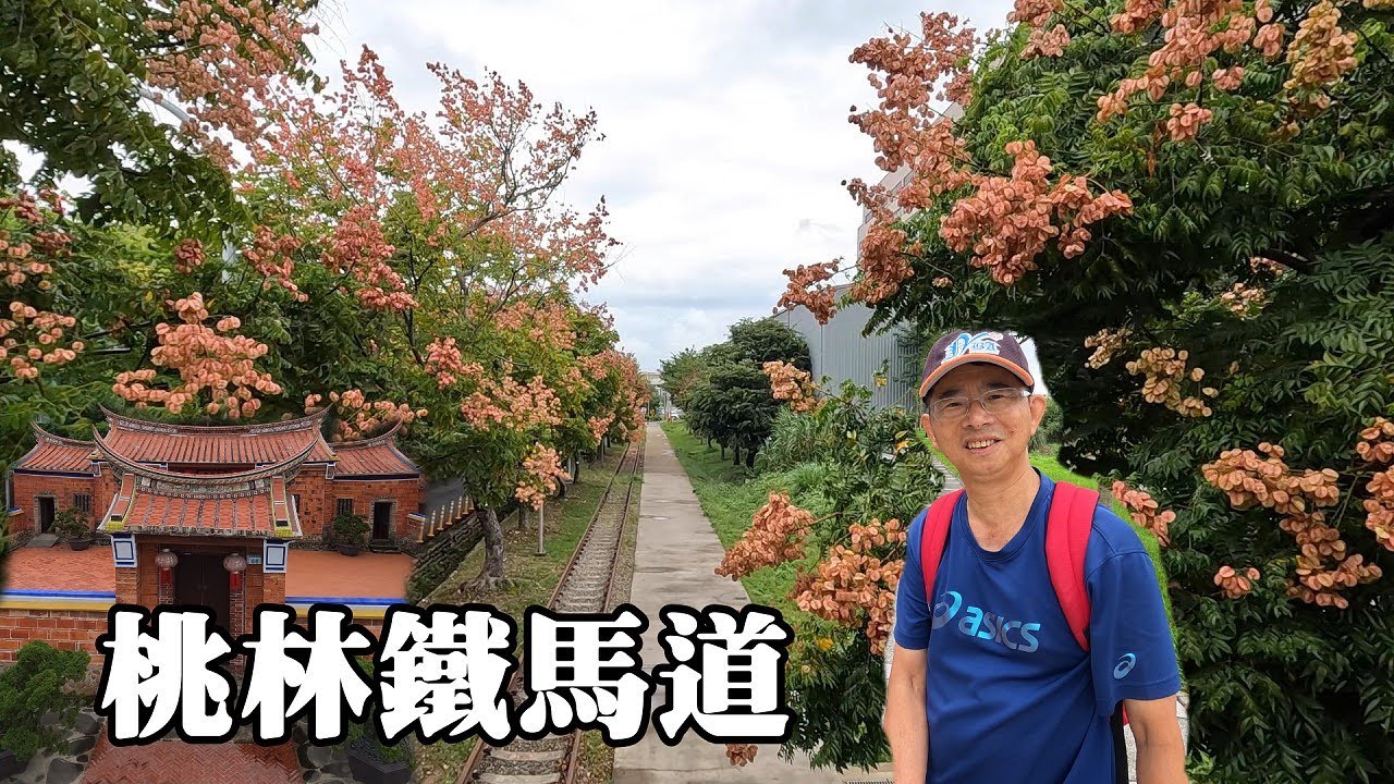 桃林鐵馬道徒步旅行～從淒風苦雨，走到天涼好個秋 (鐵路+捷運接駁)
