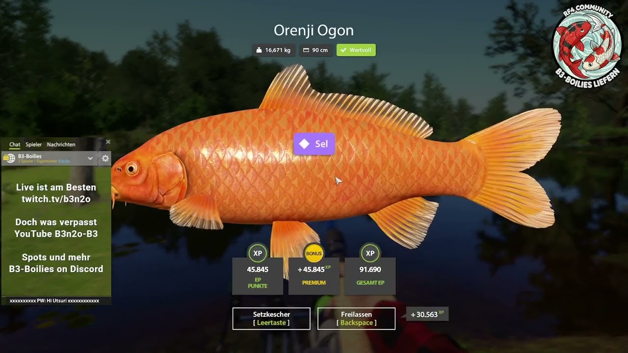 Russian Fishing 4 / Orenji Ogon 16Kg+ / Kupfersee / 10.02.2026