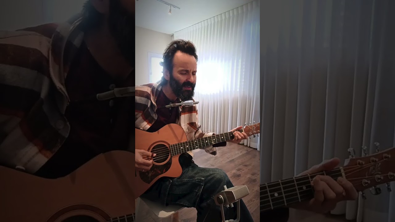 Brothers in Arms(folk cover version)