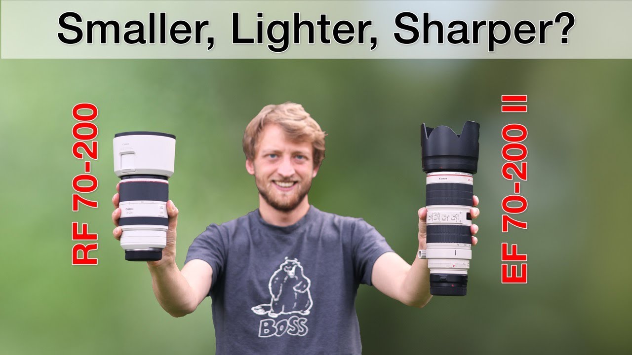 Canon RF 70-200 f/2.8 L IS - Impressions from Wildlife Photography (Review)