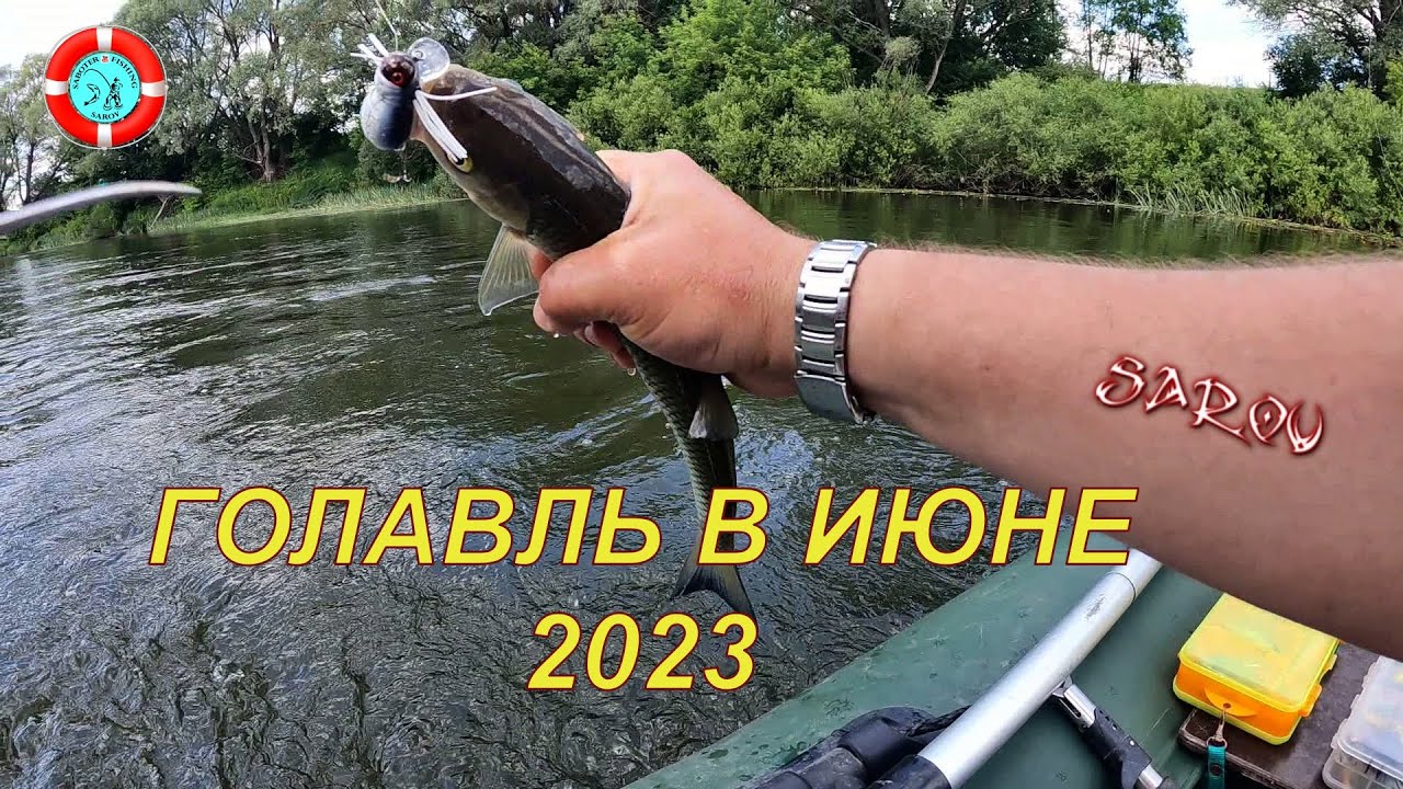 Ловля ГОЛАВЛЯ в конце июня/МОКША/МОРДОВИЯ