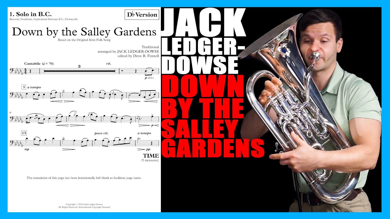 NEW GORGEOUS DUET ❤️ Down by the Salley Gardens | Matonizz Play Along #10
