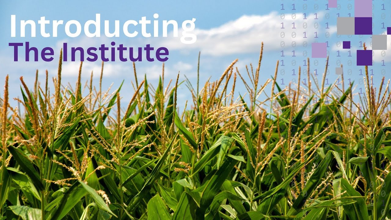 Introducing the Kansas State University Institute for Digital Agriculture and Advanced Analytics