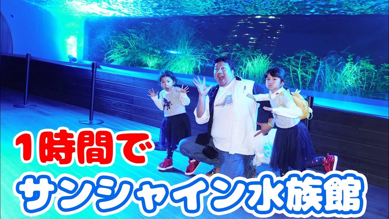 ●普段遊び●1時間でサンシャイン水族館を回った！！めっちゃ楽しかった♡まーちゃん【6歳】おーちゃん【4歳】#627