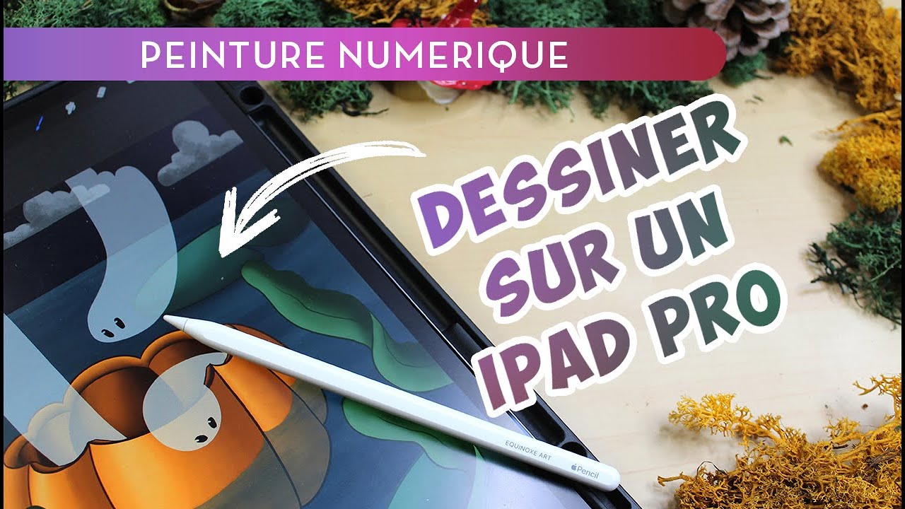 L'IPAD PRO, une tablette graphique autonome id&eacute;ale ?