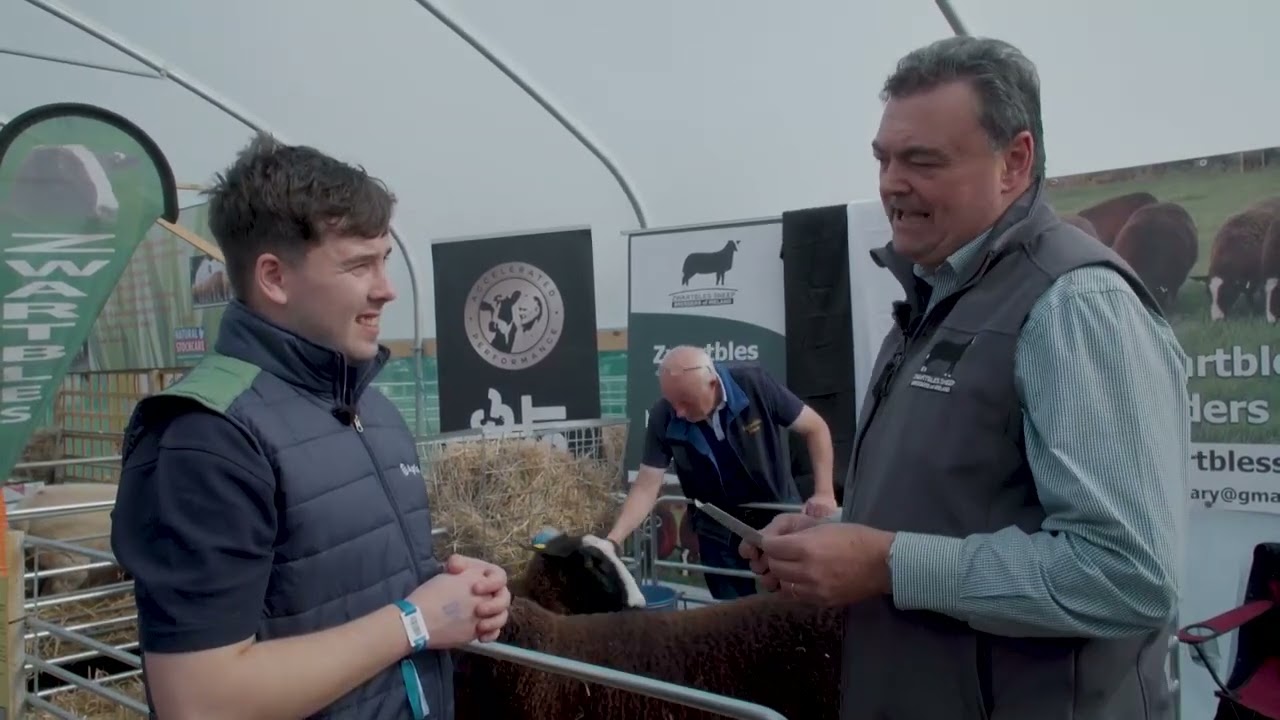 Ploughing 2022: How the Zwartbles Sheep Breeders of Ireland Society was formed