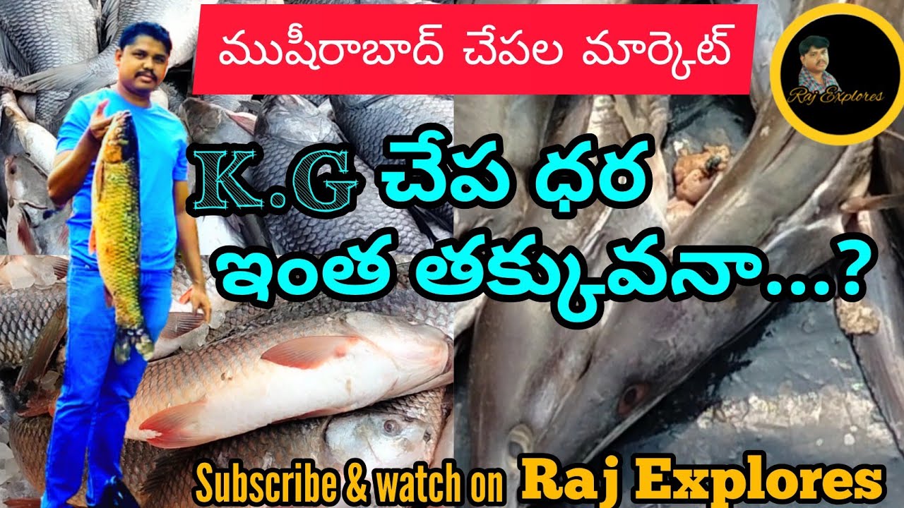 Musheerabad Fish Market / Ramnagar Fish market