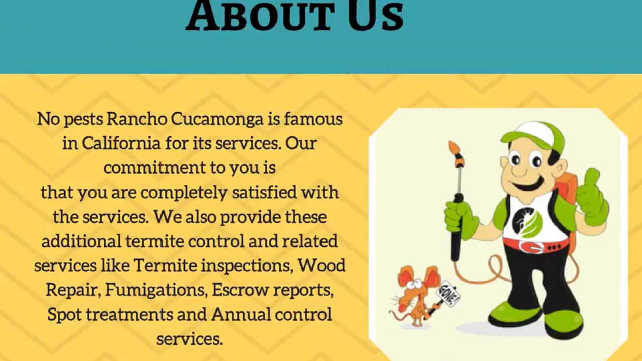 Get the Best Exterminator Services in Montclair