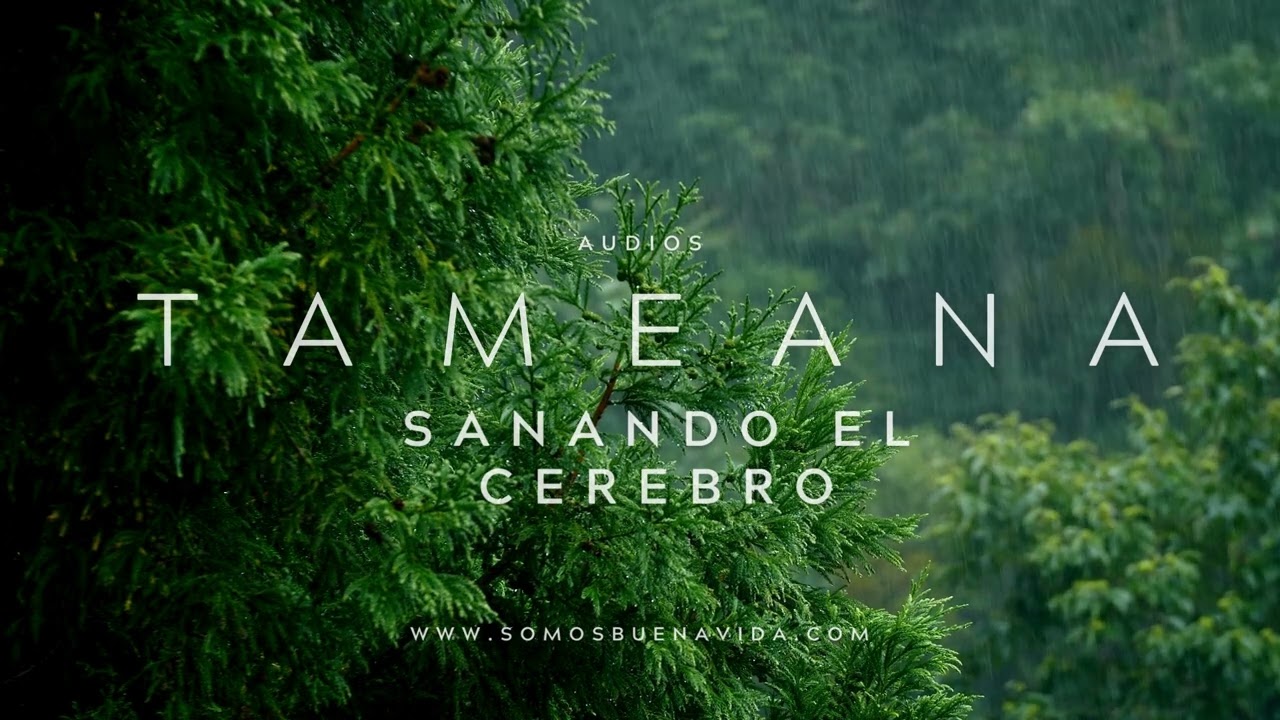 Tameana -  Sanando el Cerebro