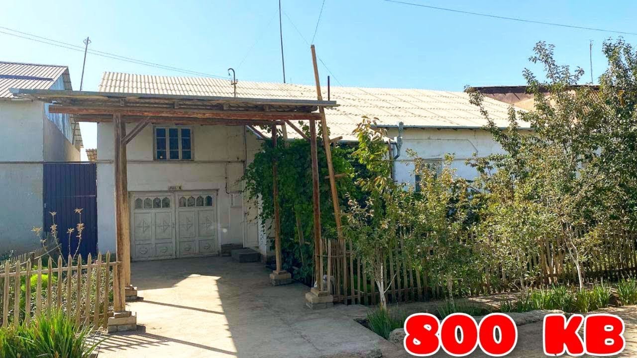 Шовот Туманида 800 кв.м Ховли Жой Сотилади, КЕЛИШИЛГАН НАРХДА. МЕВАЛАРГА БОЙ УЙ (БОҒ)