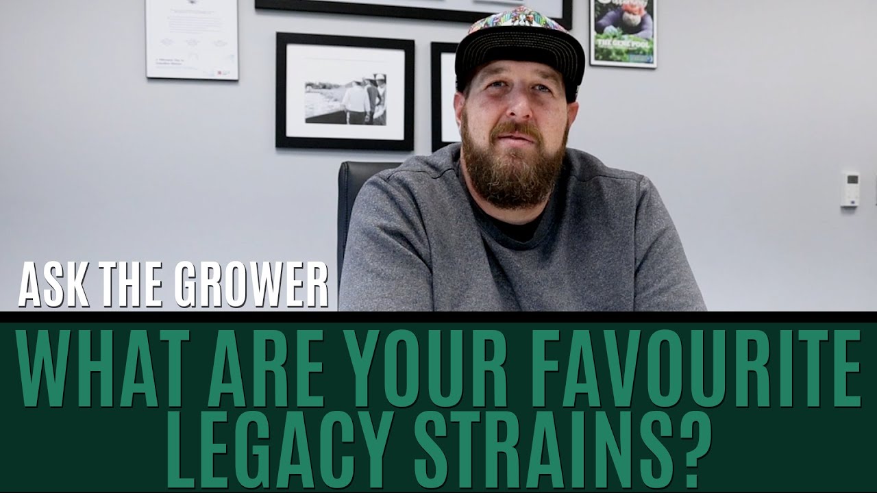 Ask The Grower - What Are Your Favourite Legacy Strains?