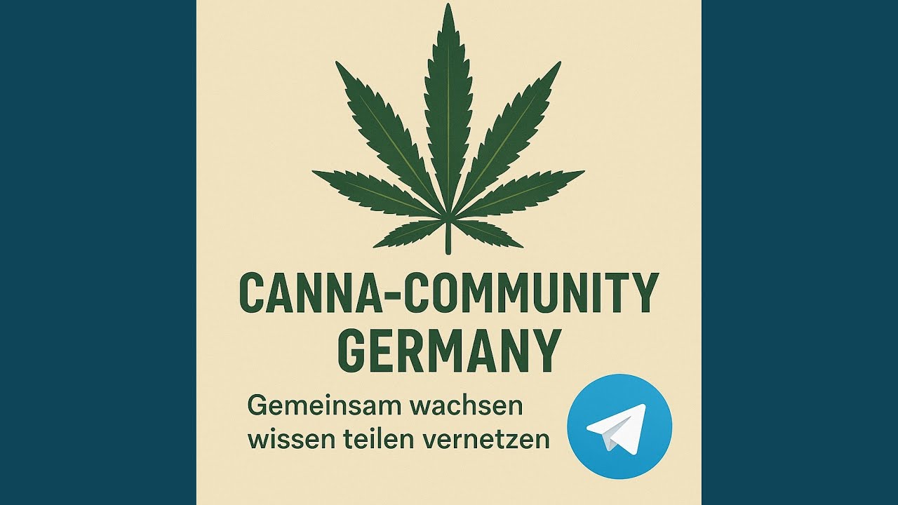 CANNA-COMMUNITY Freedom (Official Song)