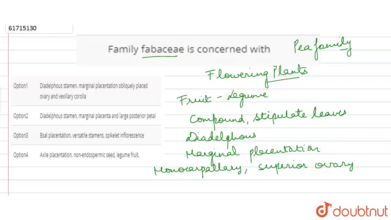 Family fabaceae is concerned with
