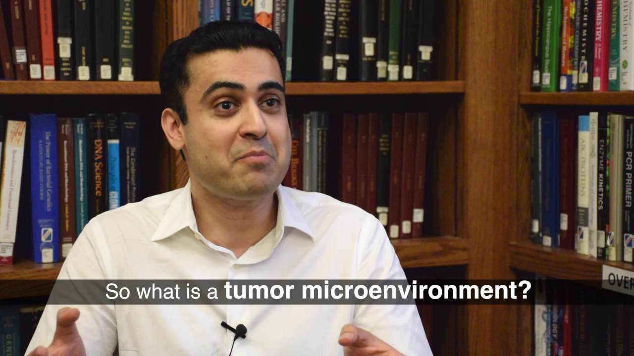 Battling Breast Cancer: Understanding the Tumor Microenvironment