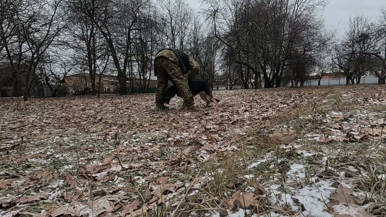 #кайдо #k9 #dogtraining #Ukraine🇺🇦🇺🇦🇺🇦🇺🇦🇺🇦🇺🇦#Україна🇺🇦🇺🇦🇺🇦🇺🇦🇺🇦🇺🇦