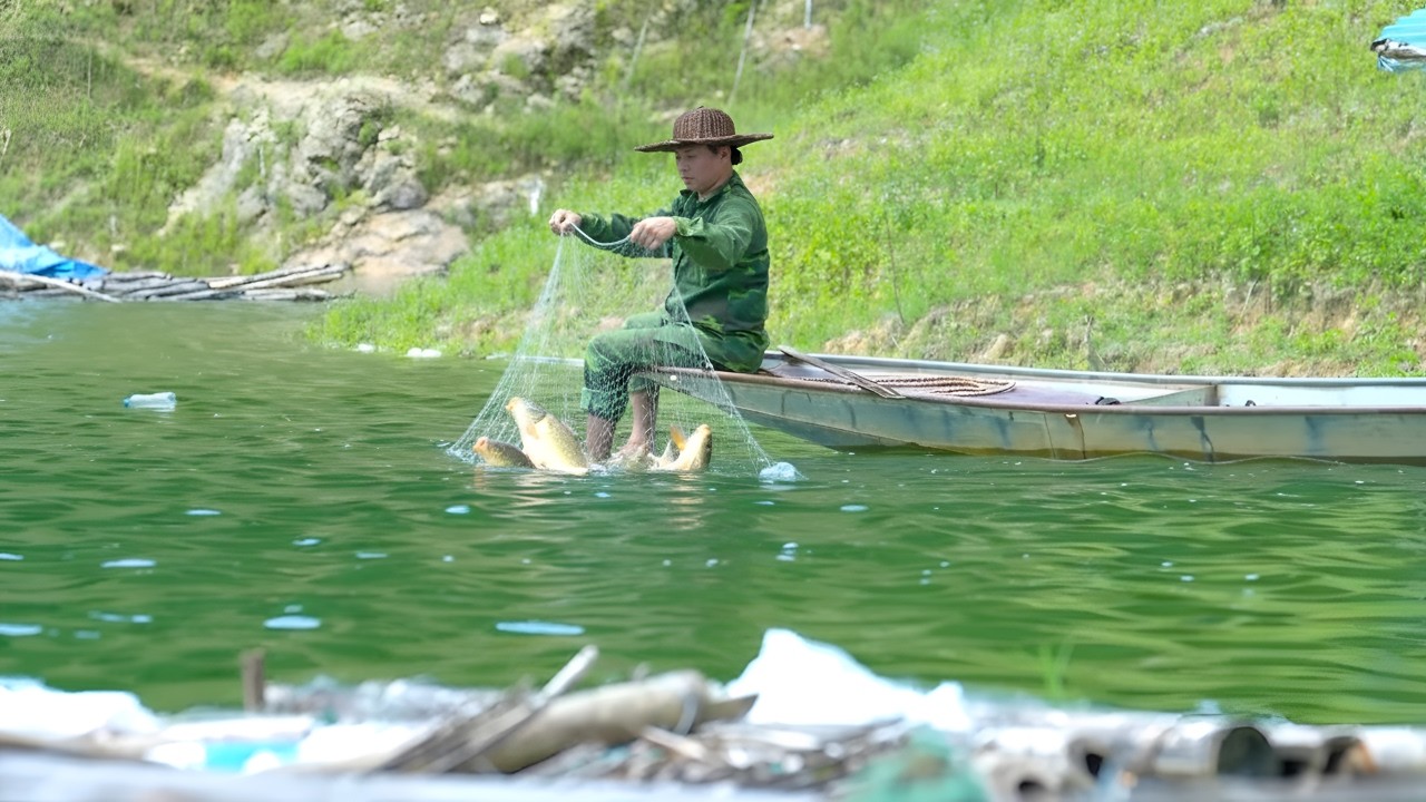 Fishing with nets, making smoked fish - Searching for wild food, surviving alone on the river