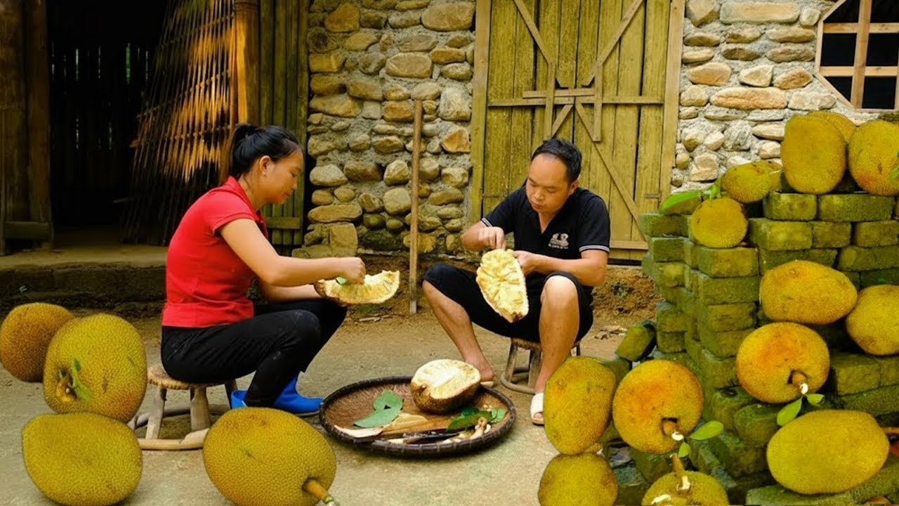 Harvesting Huge Jackfruits | Duong and His Wife Transport Their Fresh Produce to Market