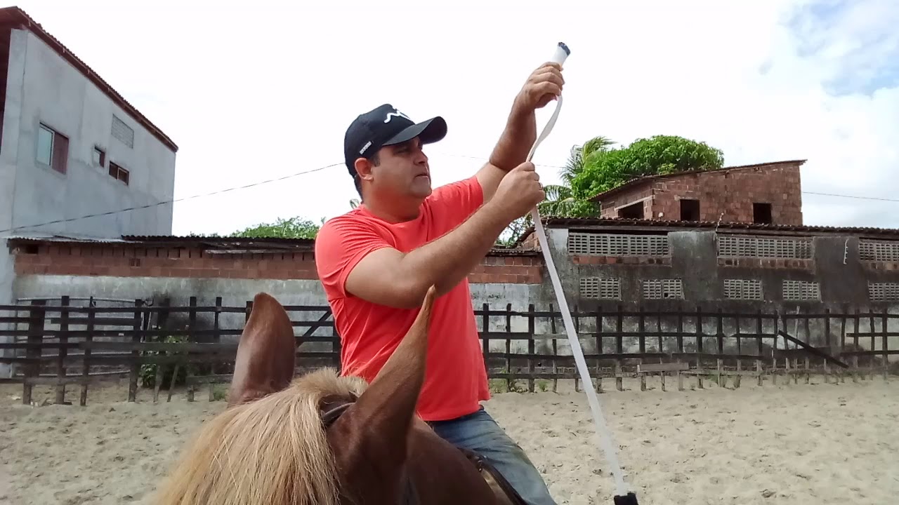 Como fazer a volta no rabo do boi com protetor. 