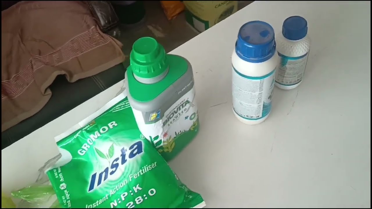 टमाटर में पावरफुल स्प्रे: NPK 28:28 +Biovita+ Fungicide + Imidacloprid | फसल रहेगी रोग और कीट मुक्त!
