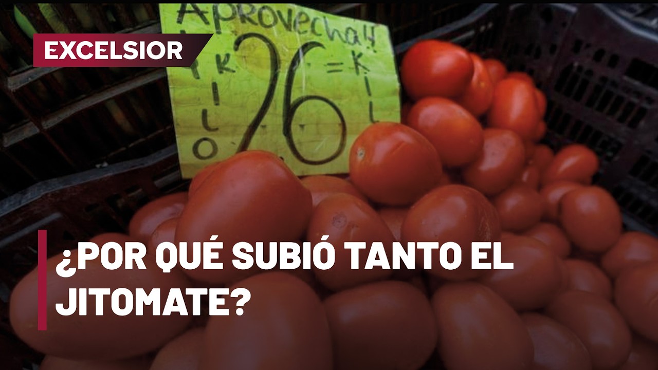 El jitomate sube hasta 550 pesos por caja por clima y bloqueos
