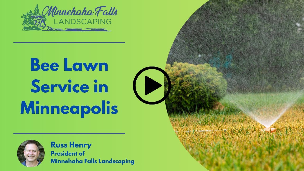Bee Lawn Service in Minneapolis | Minnehaha Falls Landscaping