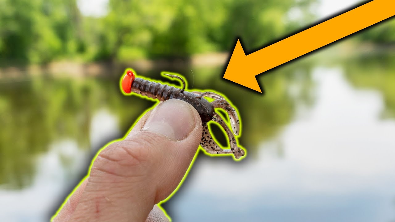 What Will I Catch On The RIVER?