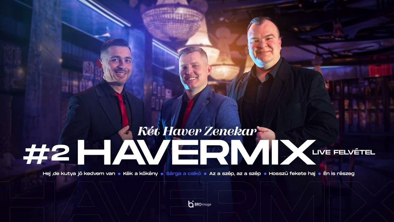 K&eacute;t Haver Zenekar Szatm&aacute;rn&eacute;meti / HATALMAS VIGADOZ&Aacute;S / Havermix #2 (100% Live Music 2024)