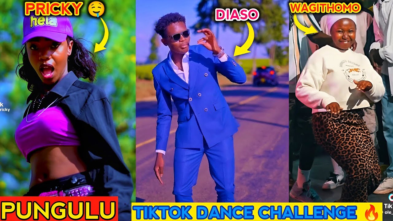 PUNGULU TIKTOK DANCE CHALLENGE BY ANGRY PANDA ft PRICKY ft DIASO